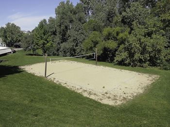 A sand volleyball court surrounded by trees.